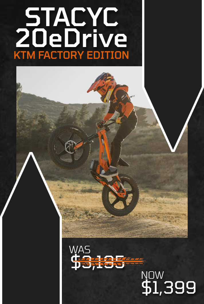 Shop STACYC 20eDRIVE