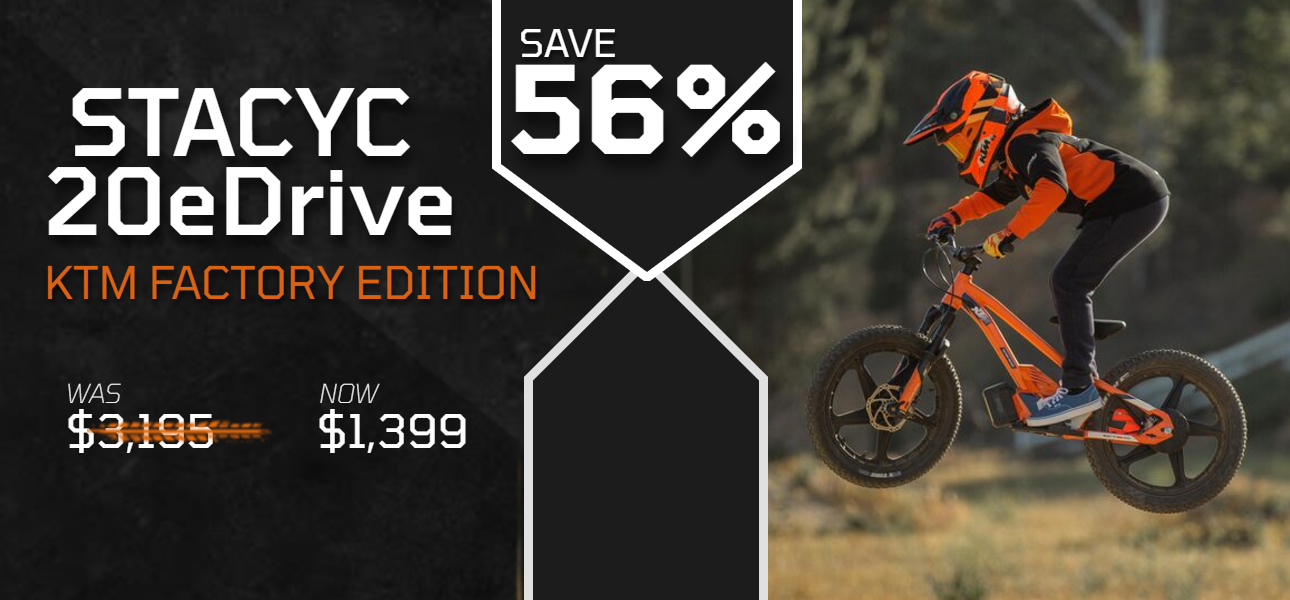 Shop STACYC 20eDRIVE