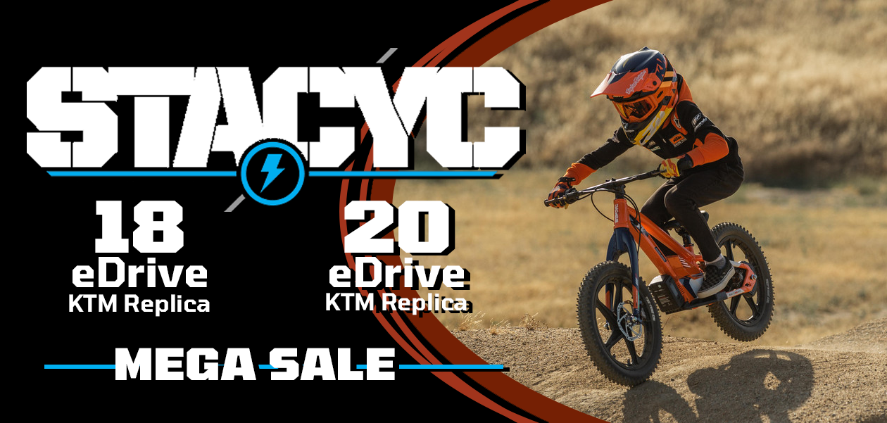 Shop STACYC 20eDRIVE