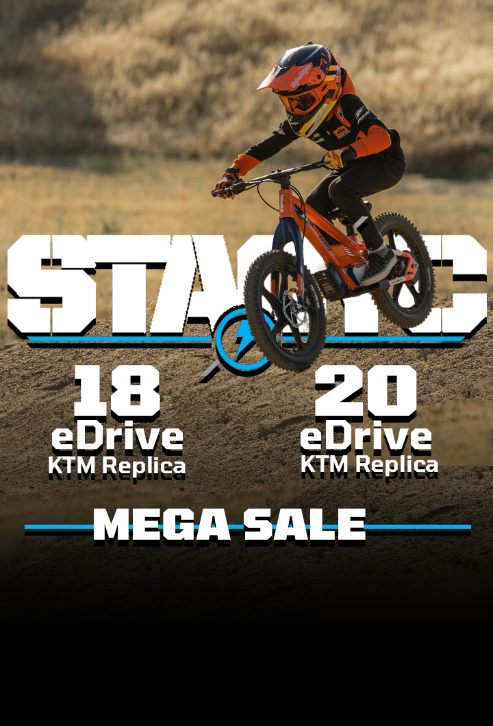Shop STACYC 20eDRIVE