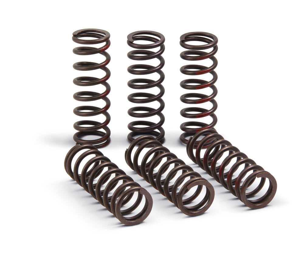 Main image of Pro Circuit Clutch Springs Honda CRF450R 21-22