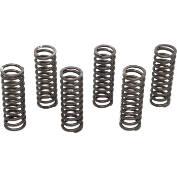 Main image of KG High Performance Clutch Spring Set YZ250