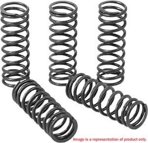 Main image of Pro Circuit Clutch Springs RMZ250