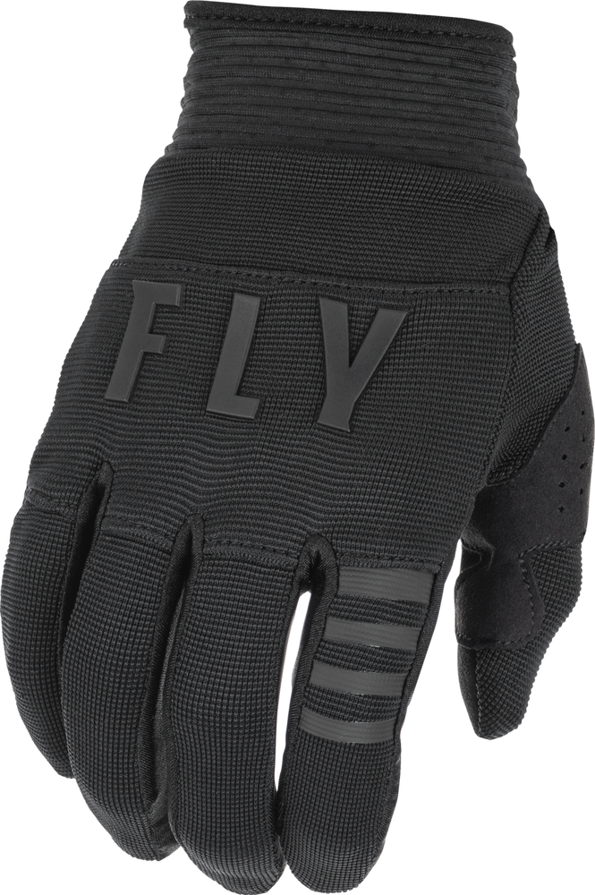 Main image of 2022 Fly Racing F-16 Gloves (Black)