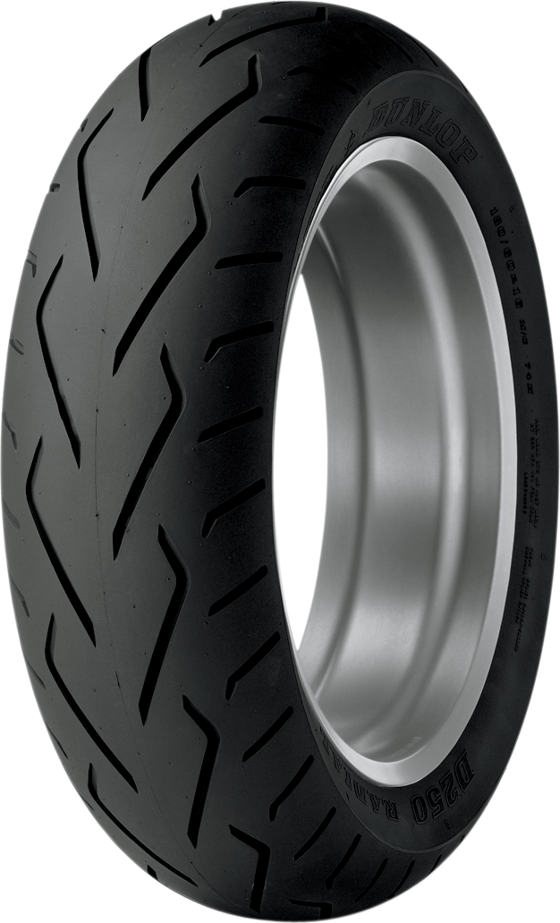 Main image of Dunlop D250 - Rear Tire - 180/60R16 - 74H