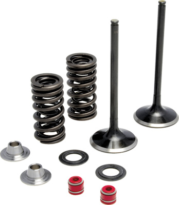 Kpmi SS Intake Valve/Spring Kit KTM 450 RFS 02-07